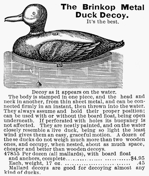 Hunting: Duck Decoy, 1895. /Nline Engraving From An American Sporting-Good Catalog, 1895. Poster Print by Granger Collection - Item # VARGRC0080849 Hunting: Duck Decoy, 1895. /Nline Engraving From An American Sporting-Good Catalog, 1895. Poster Print by Granger Collection - Item # VARGRC0080849