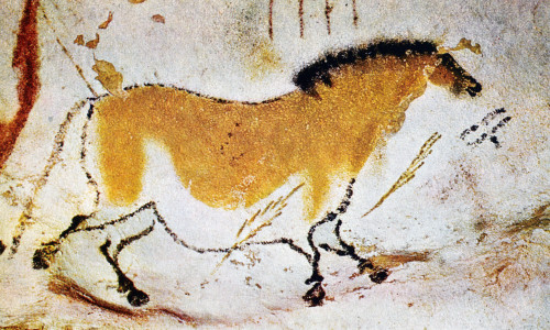 Cave Art: Lascaux. /Nhorse From The Cave At Lascaux, Dordogne, France. Poster Print by Granger Collection - Item # VARGRC0044304