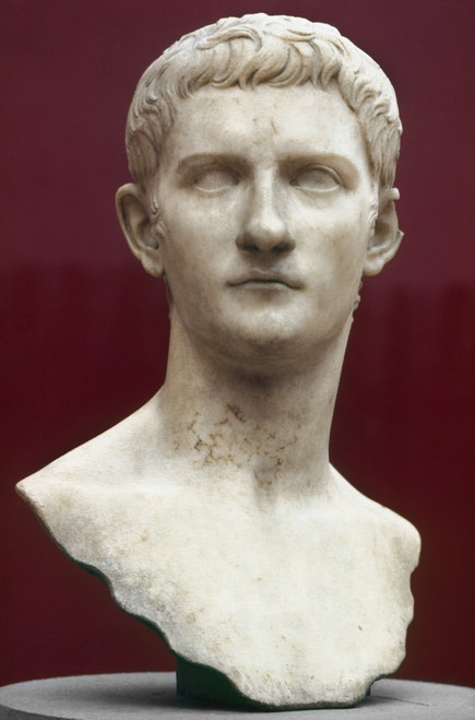 Caligula (12-41 A.D.). /Nroman Emperor, 37-41 A.D. Roman Marble Bust. Poster Print by Granger Collection - Item # VARGRC0026100 Caligula (12-41 A.D.). /Nroman Emperor, 37-41 A.D. Roman Marble Bust. Poster Print by Granger Collection - Item # VARGRC0026100