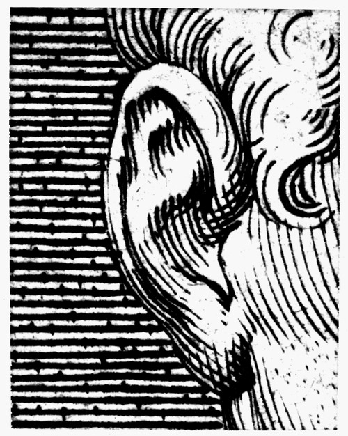 Human Ear. /Nline Engraving. Poster Print by Granger Collection - Item # VARGRC0077016