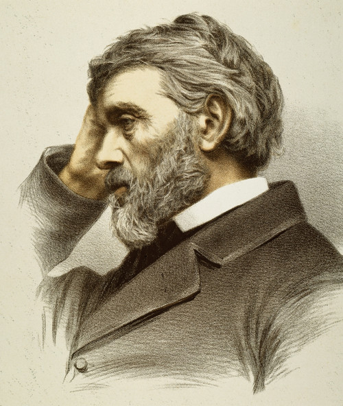 Thomas Carlyle (1795-1881). /Nscottish Essayist And Historian: English Lithograph, 19Th Century. Poster Print by Granger Collection - Item # VARGRC0040445