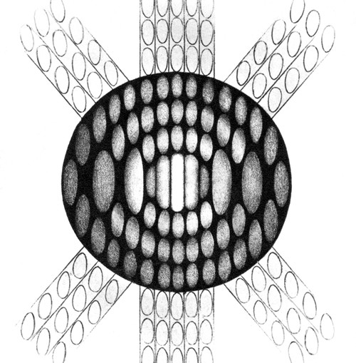 Fraunhofer Diffraction Patterns Poster Print by Science Source