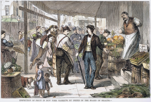 Nyc Health Inspector. /Nan Officer From The Board Of Health Inspecting The Produce At A New York City Vegeatble Market: Wood Engraving, American, 1873. Poster Print by Granger Collection - Item # VARGRC0046964