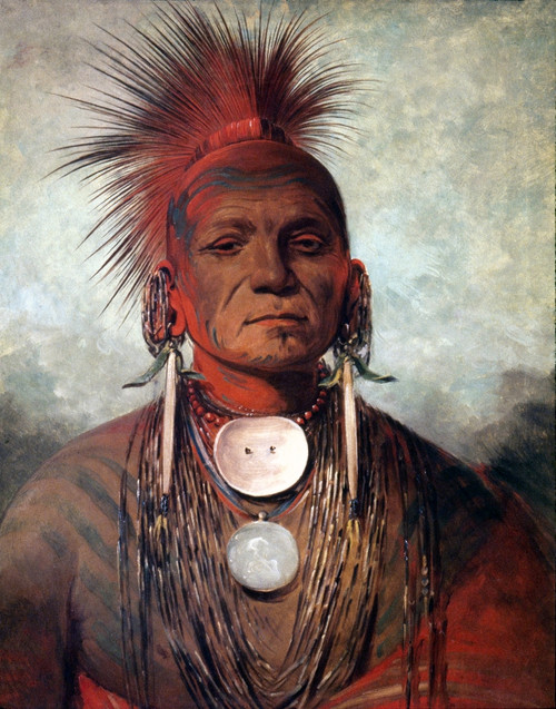 Catlin: Medicine Man. /Nsee-Non-Ty-A, An Iowa Medicine Man. Painting By George Catlin. Poster Print by Granger Collection - Item # VARGRC0029626
