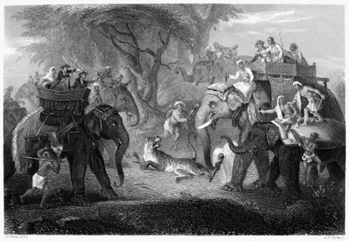 Tiger Hunt, 19Th Century. /Na Tiger Hunt In India. Steel Engraving, English, Mid-19Th Century. Poster Print by Granger Collection - Item # VARGRC0033133