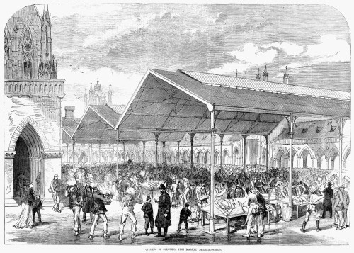 London: Fish Market, 1870. /Nthe Opening Of The Columbia Fish Market In Bethnal Green, London, England. Poster Print by Granger Collection - Item # VARGRC0087370