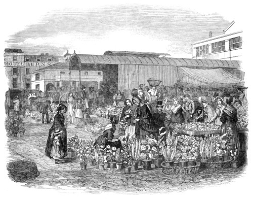 Covent Garden, 1848. /Nthe Flower Market At Covent /Ngarden, London. Wood Engraving, English, 1848. Poster Print by Granger Collection - Item # VARGRC0015526 Covent Garden, 1848. /Nthe Flower Market At Covent /Ngarden, London. Wood Engraving, English, 1848. Poster Print by Granger Collection - Item # VARGRC0015526
