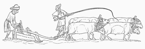 England: Ploughing, C1340. /Nbritish Peasants Ploughing. Line Drawing After An Illumination In The Luttrell Psalter, C1340. Poster Print by Granger Collection - Item # VARGRC0003843
