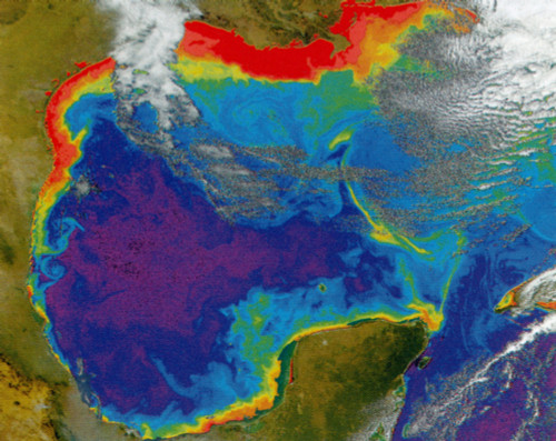 Gulf of Mexico "Dead Zone" Poster Print by Science Source - Item # VARSCIBQ5839