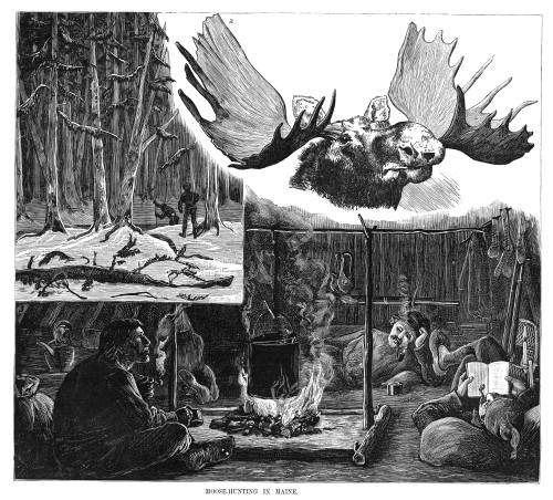 Maine: Moose Hunters, 1882. /Nmoose Hunters In Maine During The Hunt And In Their Cabin. Wood Engraving, American, 1882. Poster Print by Granger Collection - Item # VARGRC0264535