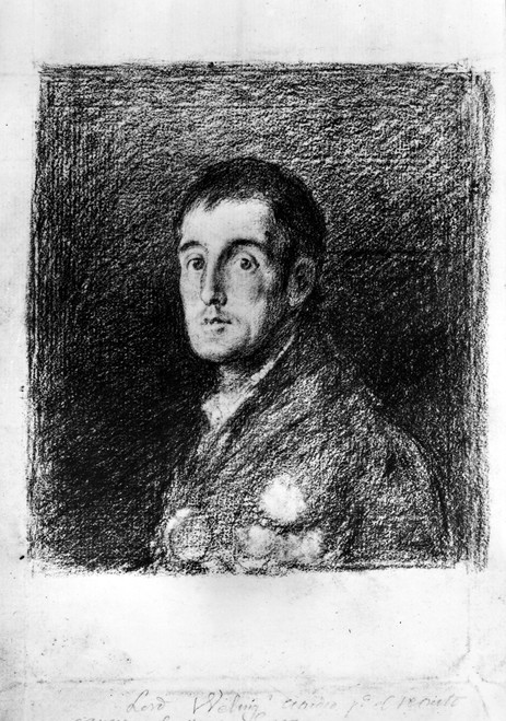 Duke Of Wellington /N(1769-1852). Arthur Wellesley, 1St Duke Of Wellington. English General And Statesman. Red Chalk Drawing, August 1812, By Francisco Goya Y Lucientes. Poster Print by Granger Collection - Item # VARGRC0003023