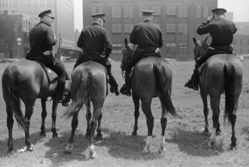 Chicago: Police, 1941. /Nmounted Police In Chicago, Illinois. Photograph By John Vachon, 1941, Poster Print by Granger Collection - Item # VARGRC0325535 Chicago: Police, 1941. /Nmounted Police In Chicago, Illinois. Photograph By John Vachon, 1941, Poster Print by Granger Collection - Item # VARGRC0325535