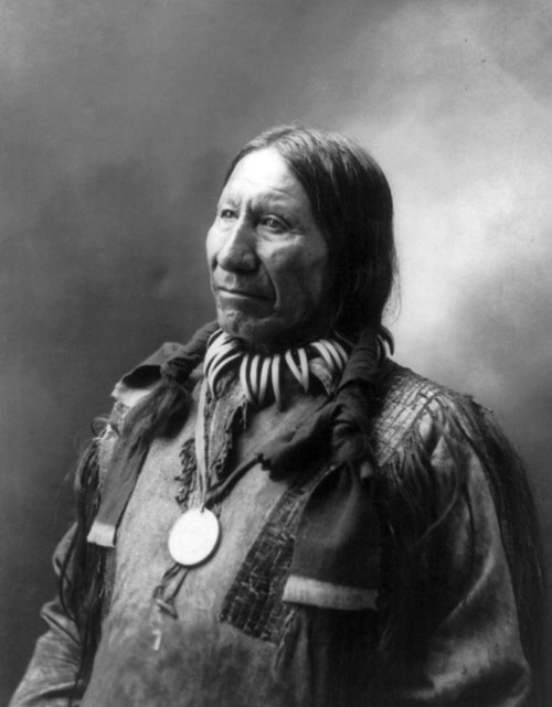 American Horse, Oglala Lakota Indian Chief Poster Print by Science Source - Item # VARSCIJA8658