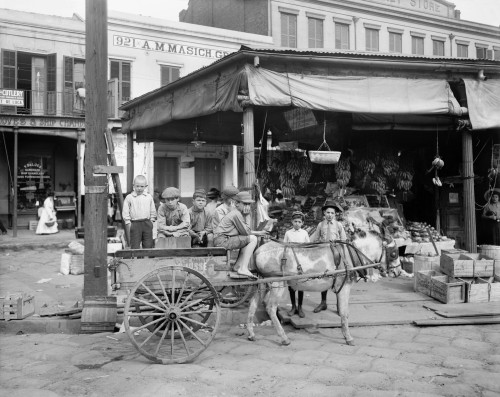 New Orleans: Market, C1905. /Nboys Riding In A Mule-Drawn Cart On A Corner Of The French Market In New Orleans, Louisiana. Photographed C1905. Poster Print by Granger Collection - Item # VARGRC0131337