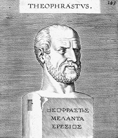 Theophrastus /N(C372 B.C.-C287 B.C.). Greek Philosopher And Scientist. Line Engraving, 18Th Century. Poster Print by Granger Collection - Item # VARGRC0054114