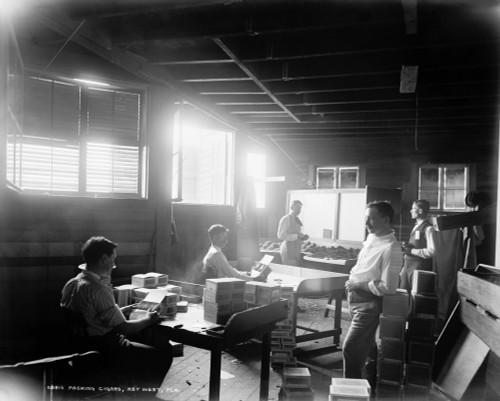 Florida: Cigar Factory. /Nworkers Packing Cigars At A Factory In Key West, Florida. Photograph, C1890. Poster Print by Granger Collection - Item # VARGRC0131106