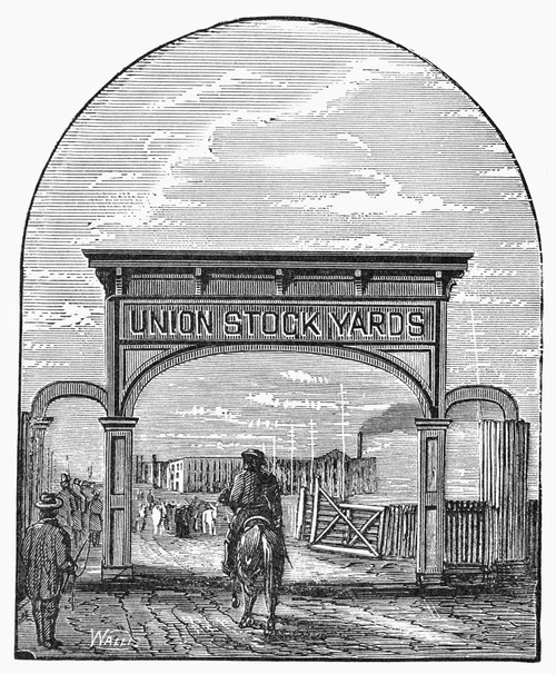 Chicago: Stockyards, 1878. /Nentrance To The Union Stockyards, At The Time The Largest In Stockyard In The World, At Chicago, Illinois. Wood Engraving, American, 1878. Poster Print by Granger Collection - Item # VARGRC0101178