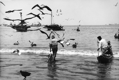 Ecuador, C1968. /Nfishermen On A Beach And In Boats In Ecuador. Photograph, C1968. Poster Print by Granger Collection - Item # VARGRC0176510