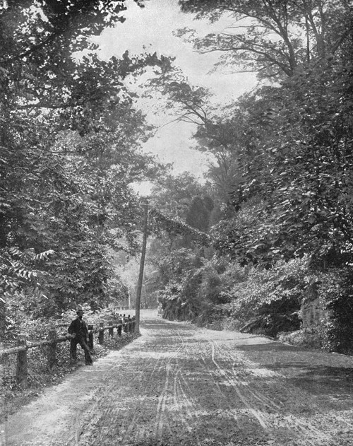 Philadelphia, C1890. /Nwissahickon Drive In Fairmount Park In Philadelphia, Pennsylvania. Photograph, C1890. Poster Print by Granger Collection - Item # VARGRC0353357