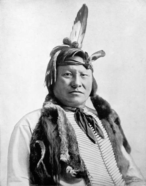 Rain-in-the-Face, Lakota Indian War Chief Poster Print by Science Source - Item # VARSCIJA8638