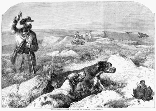 Grouse Hunting, 1860. /Nmen Hunting Grouse. Engraving After A Drawing By Harrison Weir, English, 1860. Poster Print by Granger Collection - Item # VARGRC0264920