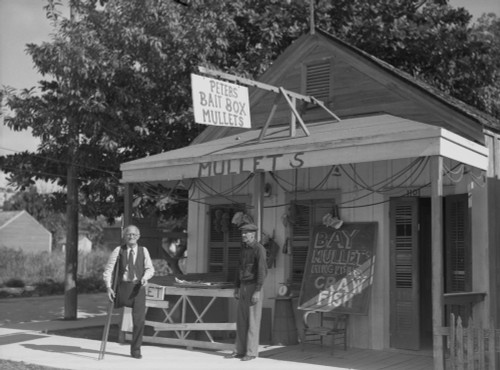 Florida: Bait Shop, 1938. /Nbait Shop In Key West, Florida. Photograph By Arthur Rothstein, 1938. Poster Print by Granger Collection - Item # VARGRC0132102 Florida: Bait Shop, 1938. /Nbait Shop In Key West, Florida. Photograph By Arthur Rothstein, 1938. Poster Print by Granger Collection - Item # VARGRC0132102