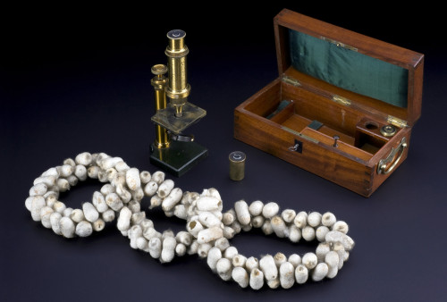Microscope Used by Louis Pasteur, c.1865 Poster Print by Science Source