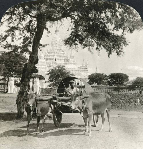 Burma: Ananda Temple, C1907. /N'The Ananda Temple, Most Splendid Of The Many Shrines Which Once Adorned Pagan, Burma.' Stereograph, C1907. Poster Print by Granger Collection - Item # VARGRC0323486