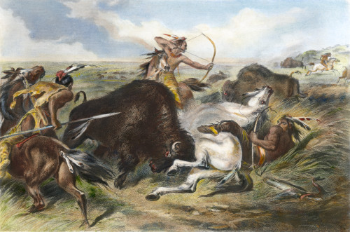Indians Hunting Buffalo. /Nsteel Engraving, 1873, After Felix O.C. Darley. Poster Print by Granger Collection - Item # VARGRC0008540 Indians Hunting Buffalo. /Nsteel Engraving, 1873, After Felix O.C. Darley. Poster Print by Granger Collection - Item # VARGRC0008540