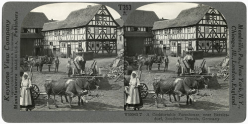 Germany: Farmhouse, C1920. /Na Farmhouse Near Betziesdorf, Germany. Stereograph, C1920. Poster Print by Granger Collection - Item # VARGRC0326026