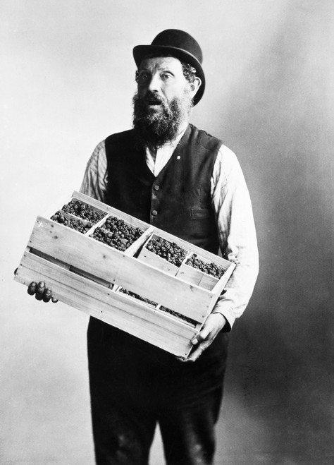 Peddler, 1891. /Nchicago, Illinois, Berry Peddler. Photograph, 1891. Poster Print by Granger Collection - Item # VARGRC0027628