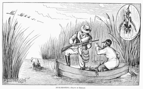 Duck Shooting, 1879. /Nwood Engraving, American, 1879. Poster Print by Granger Collection - Item # VARGRC0096206