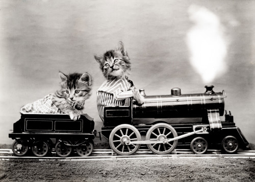 The Fast Express, 1914 Poster Print by Science Source - Item # VARSCIJB6418