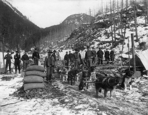 Alaska: Gold Rush, C1897. /Ncamp Of Gold Prospectors With Their Sled Dogs Near The Dyea Canyon, Yukon Territory, Alaska. Photograph, C1897. Poster Print by Granger Collection - Item # VARGRC0116203