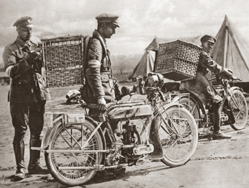 Wwi: Carrier Pigeons. /Nbritish Motorcyclists Taking Carrier Pigeons To Front Line Trenches During World War I. Photograph, C1916. Poster Print by Granger Collection - Item # VARGRC0407983