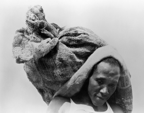 Dockworker, 1938. /Nafrican American Dockworker Carrying A Sack Of Oysters On His Head In Olga, Louisiana. Photograph By Russell Lee, September 1938. Poster Print by Granger Collection - Item # VARGRC0130848