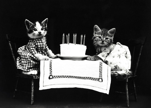The Birthday Cake, 1914 Poster Print by Science Source