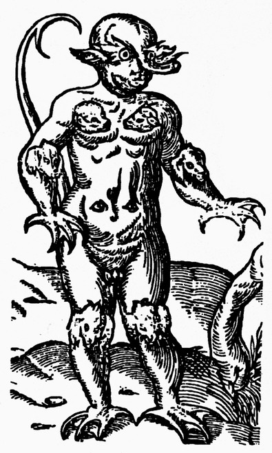 Monster, 1569. /Nwoodcut From Edward Fenton'S 'Certain Secret Wonders Of Nature,' Published In London, 1569. Poster Print by Granger Collection - Item # VARGRC0100829