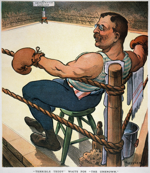 President Nomination, 1904. /N'Terrible Teddy' Waits For 'The Unknown.' Theodore Roosevelt Confidently Awaits The Democratic Nominee For The Presidency In 1904. Cartoon By Joseph Keppler, Jr. Poster Print by Granger Collection - Item # VARGRC0009767