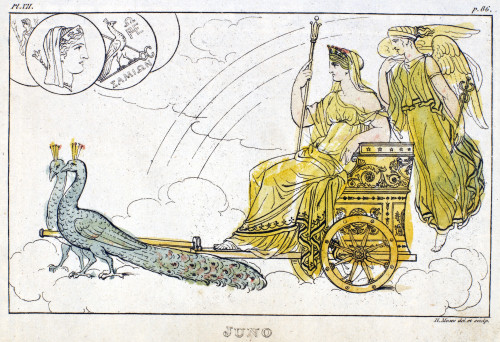 Mythology: Hera/Juno. /Njuno And Her Peacocks. Etching, English, 1810. Poster Print by Granger Collection - Item # VARGRC0042643
