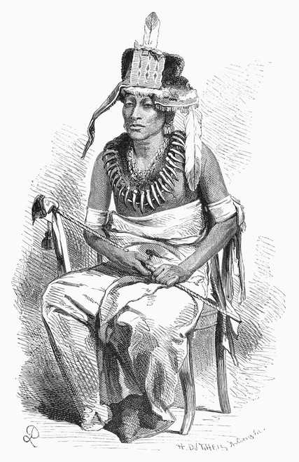 Pawnee Chief, 1868. /Nne-Sho-Ra-Re-Ra-Hi-Kuts, A Chief Of The Pawnee. Wood Engraving, French, 1868. Poster Print by Granger Collection - Item # VARGRC0095696