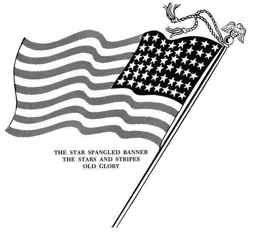 U.S. Flag. Poster Print by Granger Collection