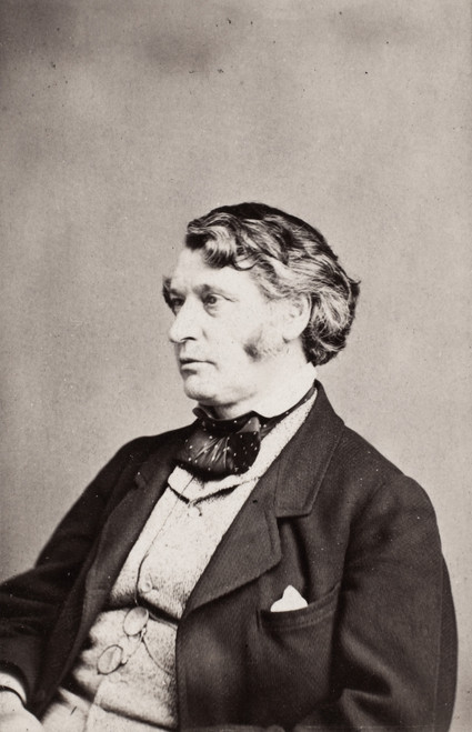 Charles Sumner (1811-1874). /Namerican Politician. Original Carte-De-Visite Photograph By Mathew Brady. Poster Print by Granger Collection - Item # VARGRC0053417