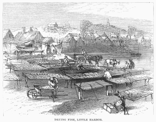 Curing Fish, 19Th Century. /Ndrying Fish In New England, 19Th Century Engraving. Poster Print by Granger Collection - Item # VARGRC0093730