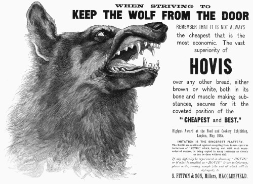 Hovis Bread, 1895. /Nenglish Newspaper Advertisement, 1895. Poster Print by Granger Collection - Item # VARGRC0090629 Hovis Bread, 1895. /Nenglish Newspaper Advertisement, 1895. Poster Print by Granger Collection - Item # VARGRC0090629