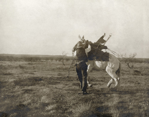 Texas: Cowboy, C1906. /Na Cowboy Saddling A Bronco On A Ranch In Texas. Photograph By Erwin Evans Smith, C1906. Poster Print by Granger Collection - Item # VARGRC0124932 Texas: Cowboy, C1906. /Na Cowboy Saddling A Bronco On A Ranch In Texas. Photograph By Erwin Evans Smith, C1906. Poster Print by Granger Collection - Item # VARGRC0124932