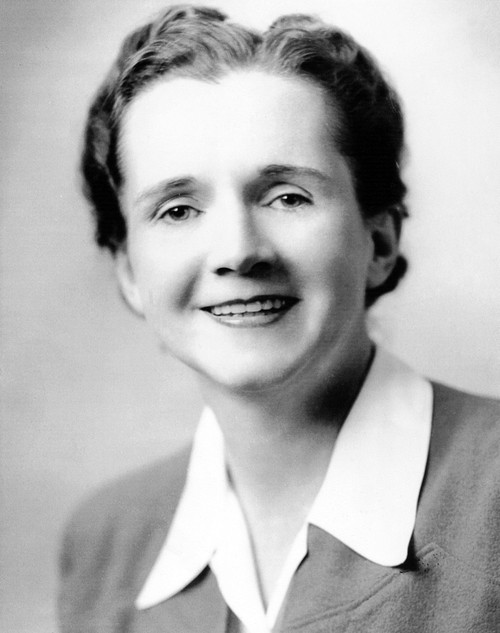 Rachel Carson (1907-1964). /Namerican Biologist And Writer. Photograph, 1944. Poster Print by Granger Collection - Item # VARGRC0107977 Rachel Carson (1907-1964). /Namerican Biologist And Writer. Photograph, 1944. Poster Print by Granger Collection - Item # VARGRC0107977