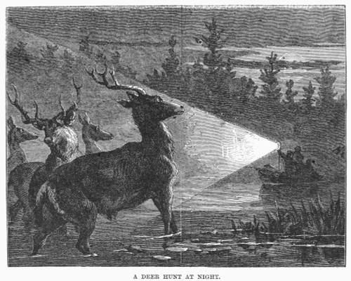 America: Deer Hunt, 1867. /Na Deer Hunt At Night. Wood Engraving, American, 1867. Poster Print by Granger Collection - Item # VARGRC0096248