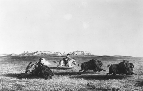 Buffalo Hunting, 1855. /Nhunting Buffalo In Scott'S Bluff, Nebraska. Line Engraving, 1855. Poster Print by Granger Collection - Item # VARGRC0096232