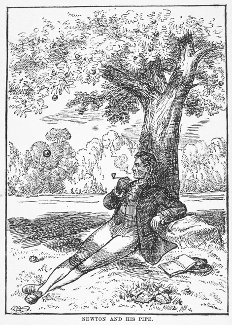 Isaac Newton And The Apple. /Nenglish Physicist And Mathematician. Observing An Apple Fall To The Ground While Seated Beneath A Tree, C1666. Wood Engraving, 19Th Century. Poster Print by Granger Collection - Item # VARGRC0015201
